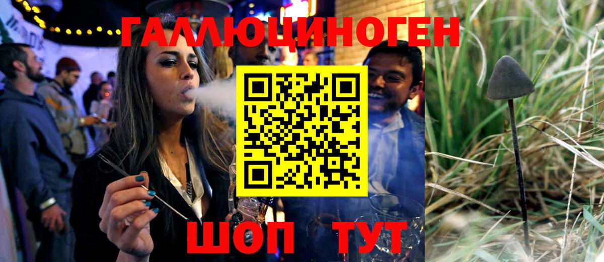 Галлюциногенные грибы Psilocybe  Вход с VPN  Осинники 